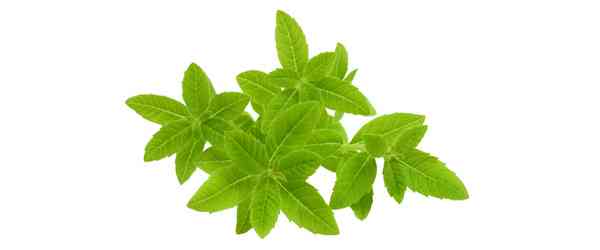 Verveine-diffuseurs-bougies-odeur-bio-maison-deco-naturel-maroc